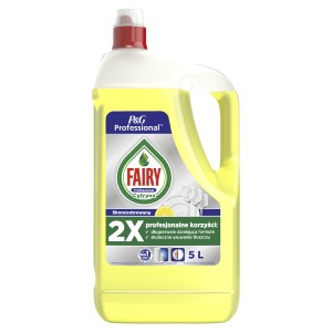 FAIRY 5L LEMON NEW_e131f49b_0208_093829